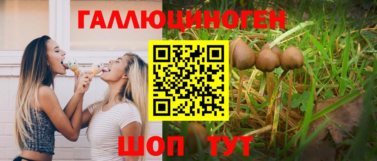 купить закладку  Галлюциногенные грибы Cubensis  Вход с VPN  Сургут 